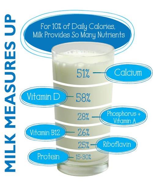 Vitamins and nutrients in milk and dairy products